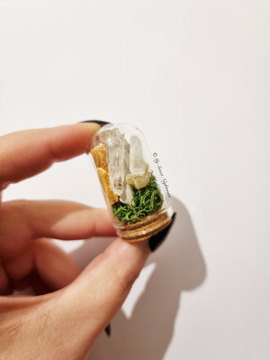 Miniature protective terrarium with rock crystal, white sage, palo santo and Tibetan incense.